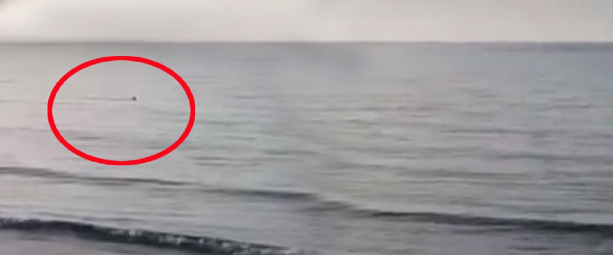 Τρόμος στη θάλασσα της Κύπρου! Δείτε τι κατέγραψε κάμερα - VIDEO