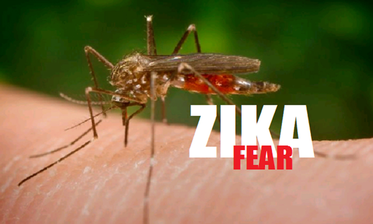 Παγκόσμιος συναγερμός για τον ιό Ζίκα