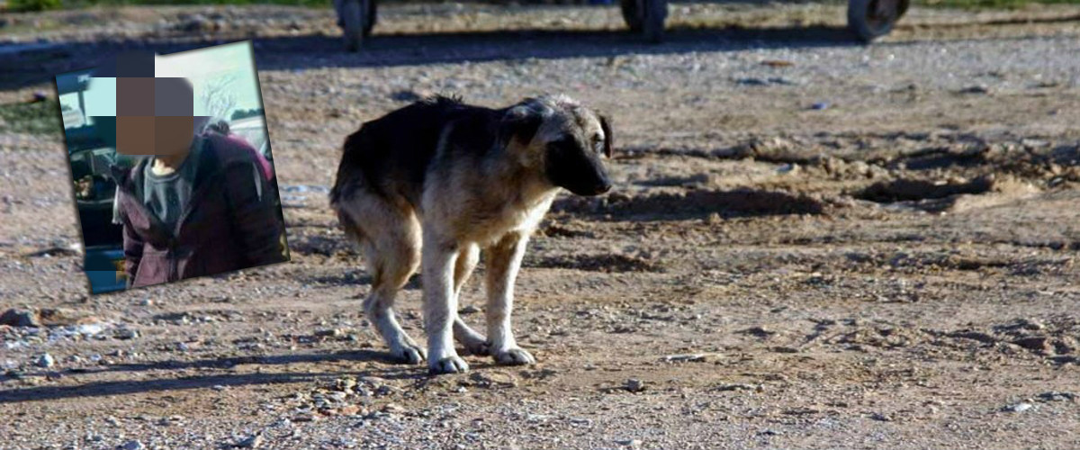 Τα Social Media τιμωρούν! Η φωτογραφία του Αραδιππιώτη που σκότωνε σκύλους κάνει το γύρο του διαδικτύου