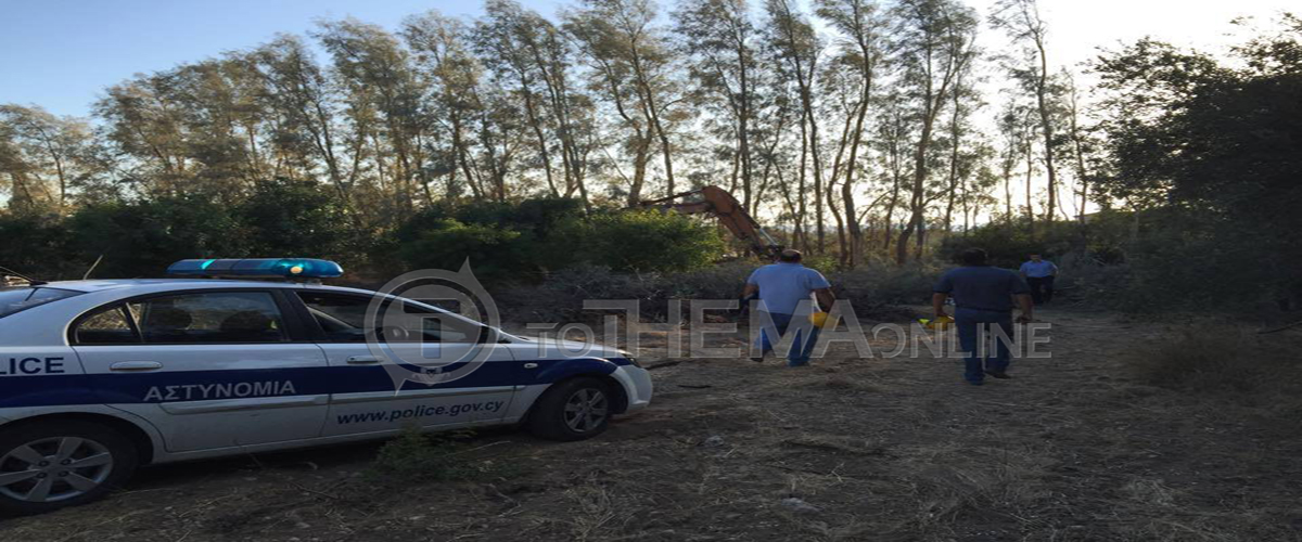 Εργατικό ατύχημα στην Πάφο – Έπεσε δέντρο και καταπλάκωσε υπάλληλο του Κ.Σ. Χλώρακας (ΦΩΤΟ)