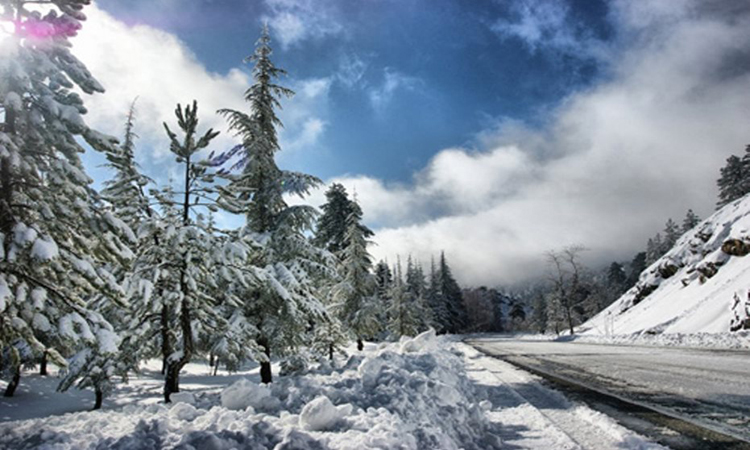 Λευκή πρωτοχρονιά - Νιφάδες χιονιού και στη Λευκωσία! Φωτογραφίες από όλη την Κύπρο