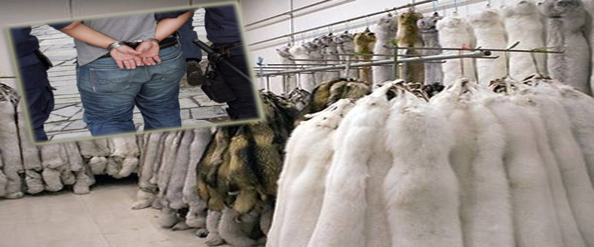 Χειροπέδες σε ιδιοκτήτη καταστήματος με γούνες στη Λεμεσό