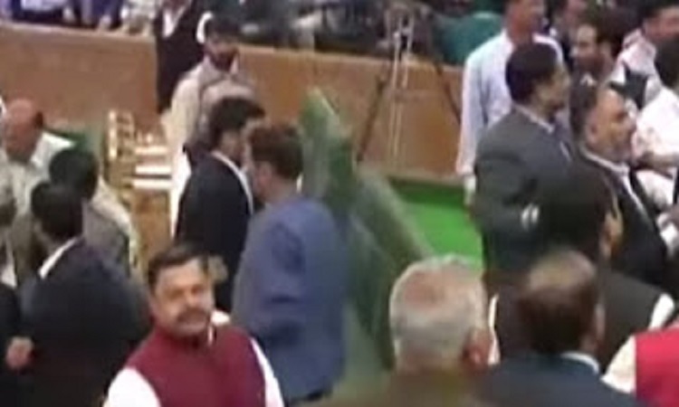 Άγριο ξύλο στη Βουλή της Ινδίας για μια... (Bίντεο)