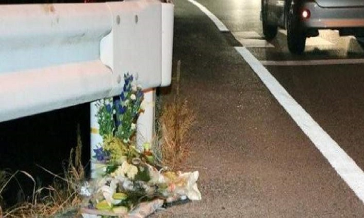 Οδηγός φορτηγού σκότωσε έναν πεζό και τραυμάτισε έναν άλλον παίζοντας το Pokemon Go