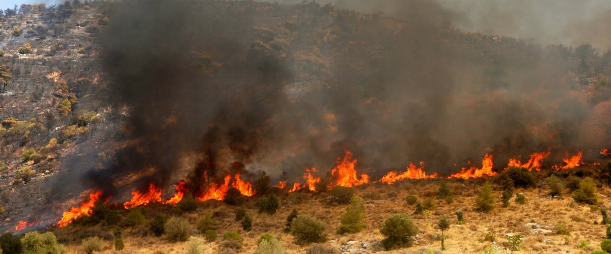 ΛΕΜΕΣΟΣ:  Φωτιά σε άγρια βλάστηση - Έτρεχε η Πυροσβεστική