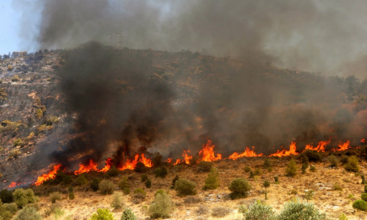 Τέσσερα εκτάρια καμένη γη άφησε πίσω της η φωτιά στα Πλατανίσκια