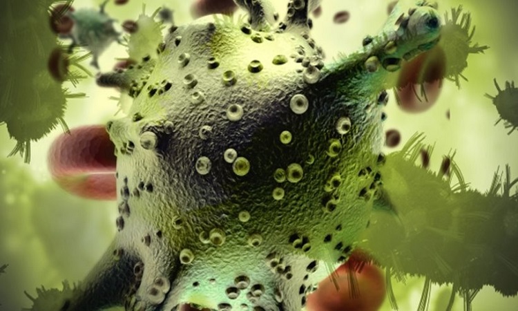 Έρευνα: Τα «καλά» βακτήρια του εντέρου, «ασπίδα» κατά του καρκίνου