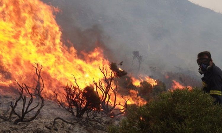 Πυρκαγιά στο χωριό Αρακαπάς στη Λεμεσό - Στη μάχη της κατάσβεσης και τα πτητικά μέσα