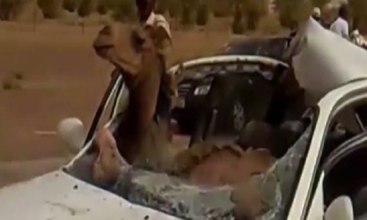 Τράκαρε ενώ οδηγούσε με καμήλα και αυτή βρέθηκε στη θέση του συνοδηγού - VIDEO