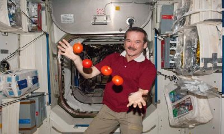 Ντομάτες θα καλλιεργούνται στο διάστημα από ούρα αστροναυτών