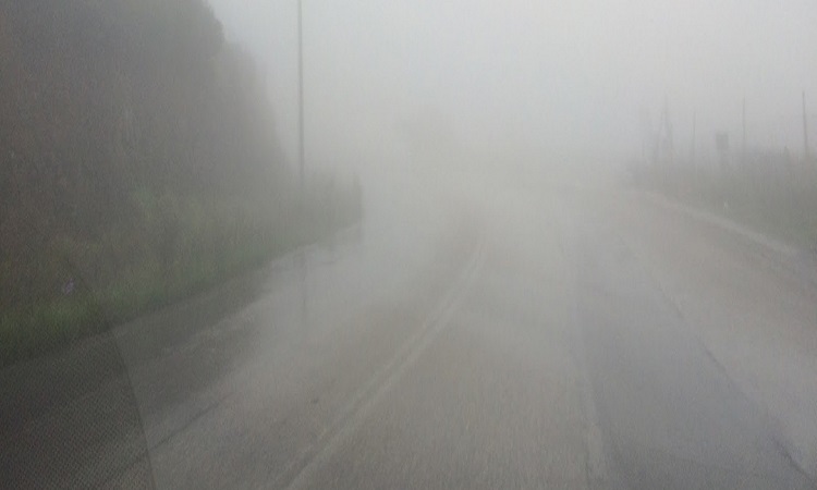 Οδηγοί προσοχή : Πυκνή ομίχλη σε περιοχές της Κύπρου