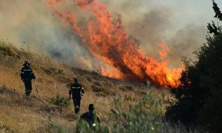 Υπό πλήρη έλεγχο η πυρκαγιά στην περιοχή «Αχεράς»