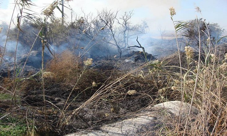 ΛΕΜΕΣΟΣ: Υπό μερικό έλεγχο η πυρκαγιά στην Παρεκκλησιά