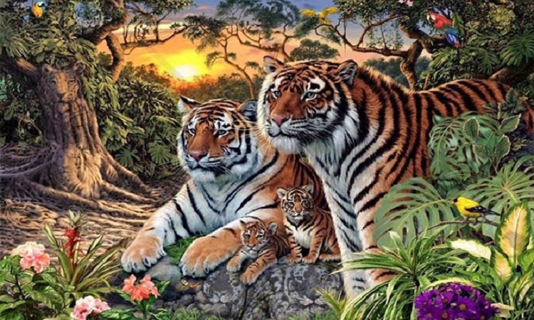 Πόσες τίγρεις μπορείτε να εντοπίσετε στη συγκεκριμένη εικόνα;