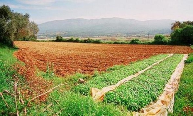 Το Υπ. Γεωργίας απαντά στο ΑΚΕΛ- Το Πρόγραμμα Αγροτικής Ανάπτυξης 2014-2020 έχει υποβληθεί στην Ευρωπαϊκή Επιτροπή