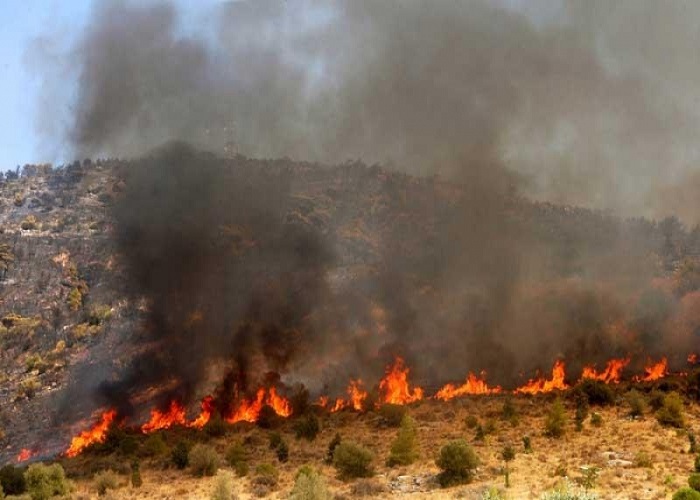Υπό μερικό έλεγχο η πυρκαγιά στην περιοχή Τσάδας- Απειλήθηκαν και κατοικίες