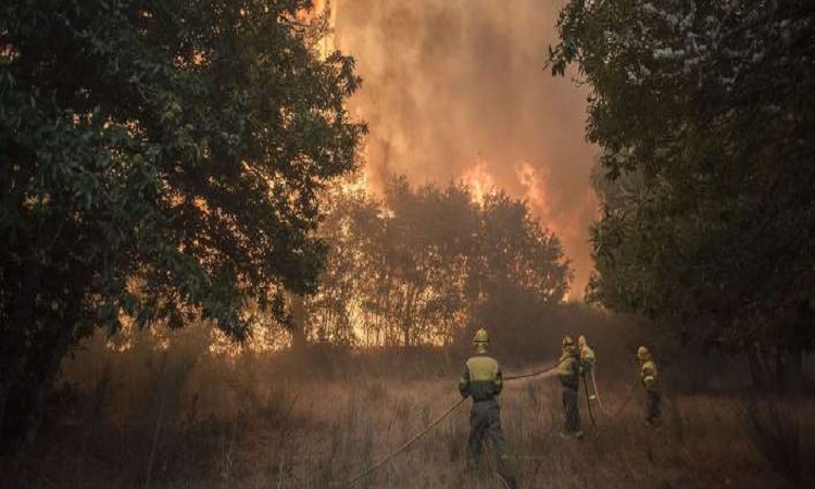 Μάχη με τις φλόγες στην Ισπανία -120 πυρκαγιές σε εξέλιξη στον Βορρά