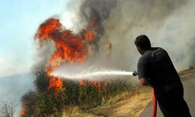 Σε συναγερμό η Πυροσβεστική – Τρία μέτωπα πυρκαγιών στην Πάφο – Νέα φωτιά στον Ακάμα