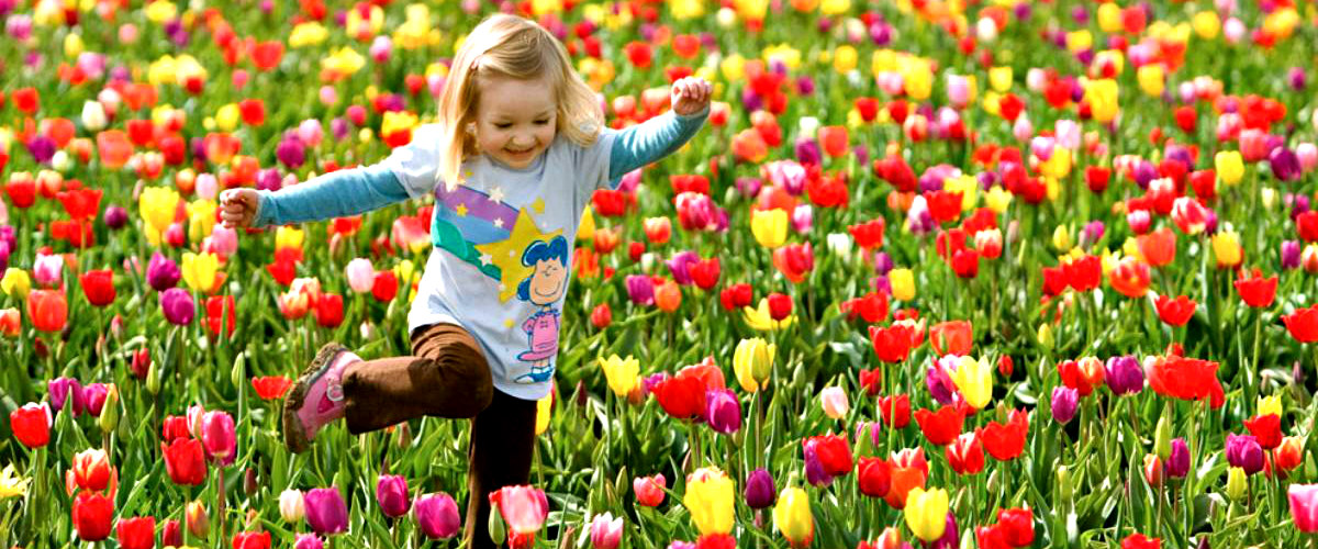 Άνοιξη των λουλουδιών και των αλλεργιών - Πώς να τις αποφύγετε...