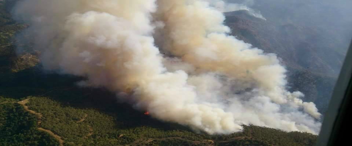 Αναζωπυρώσεις σε Καννάβια και Αγία Ειρήνη