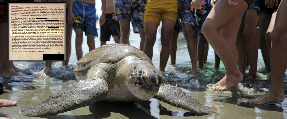 Governor' s – Για όλα φταίνε οι χελώνες! Η παράδοξη απάντηση της αστυνομίας σε παράπονα για ρύπανση της Ακτής του Κυβερνήτη