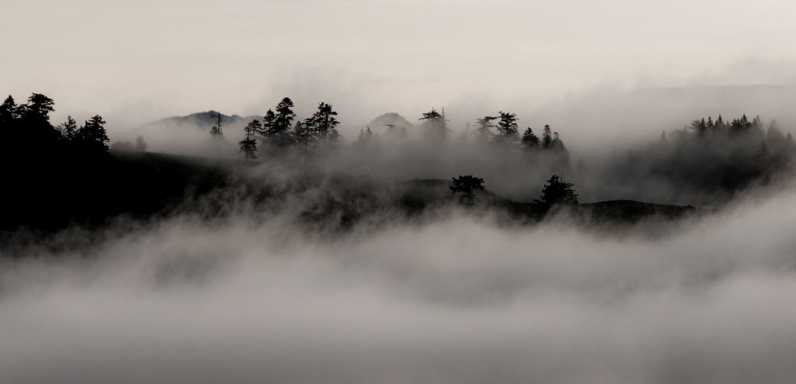 ΠΡΟΣΟΧΗ: Πυκνή ομίχλη και περιορισμένη ορατότητα στην περιοχή Τροόδους