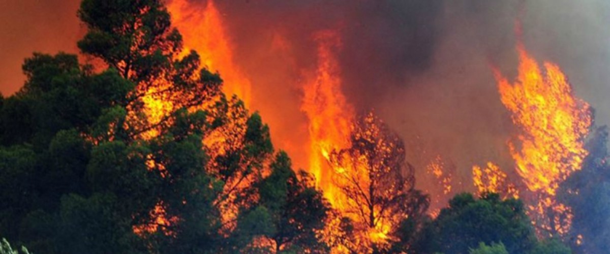 Τραγωδία στην Εύβοια: Απανθρακωμένο πτώμα εντοπίστηκε σε πυρκαγιά