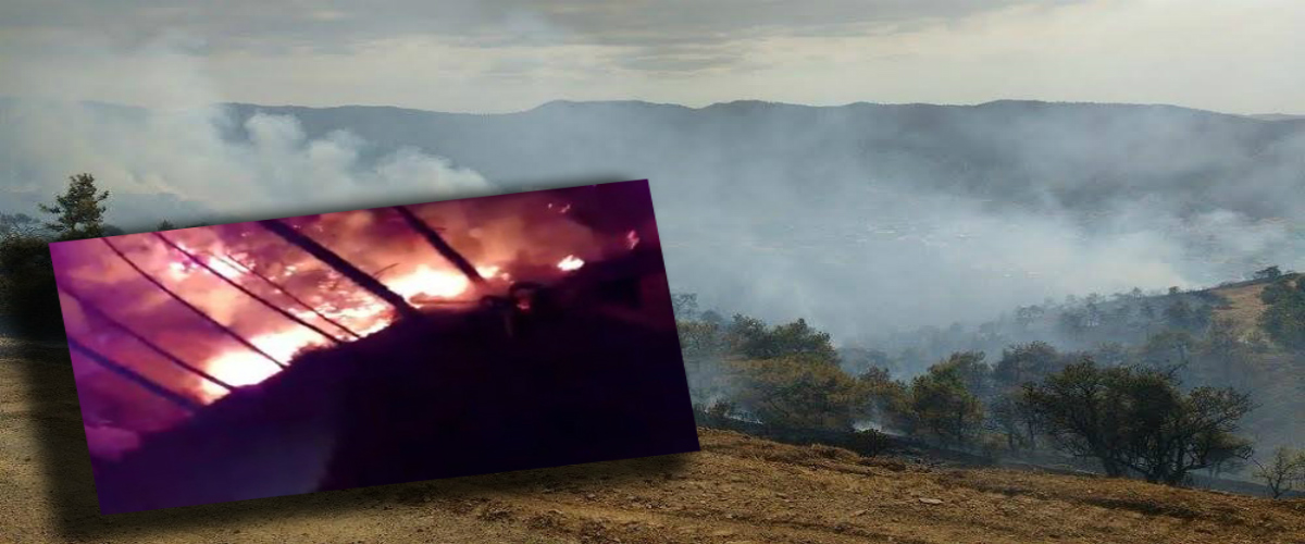 ΦΩΤΙΑ ΣΟΛΕΑΣ: Bίντεο δασοπυροσβέστη δείχνει την άνιση μάχη με τις φλόγες