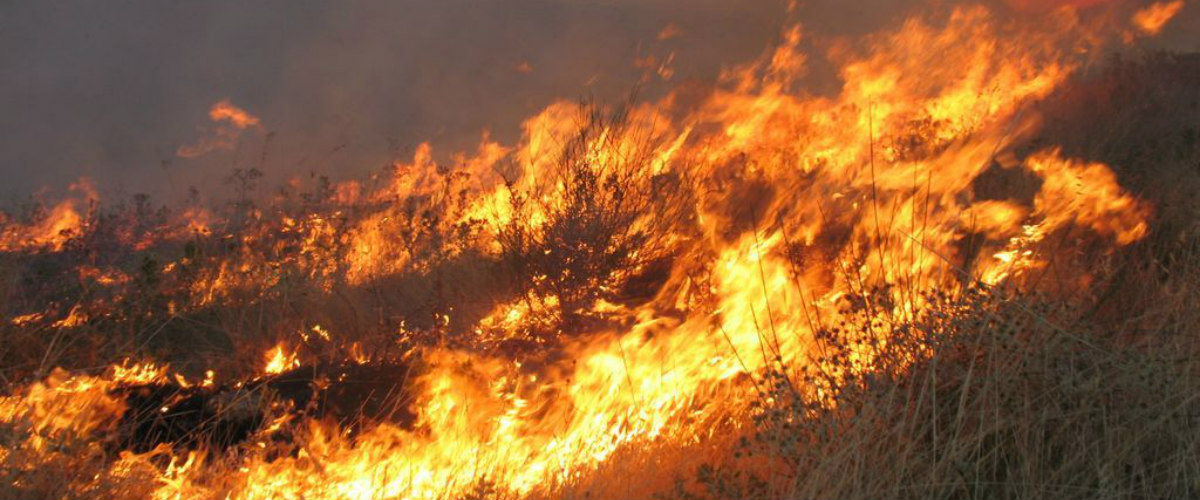 Ανεξέλεγκτη πυρκαγιά μεταξύ Λόφου – Πέρα Πέδι