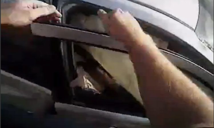 H δραματική στιγμή που αστυνομικός απεγκλωβίζει τραυματία από φλεγόμενο όχημα – VIDEO