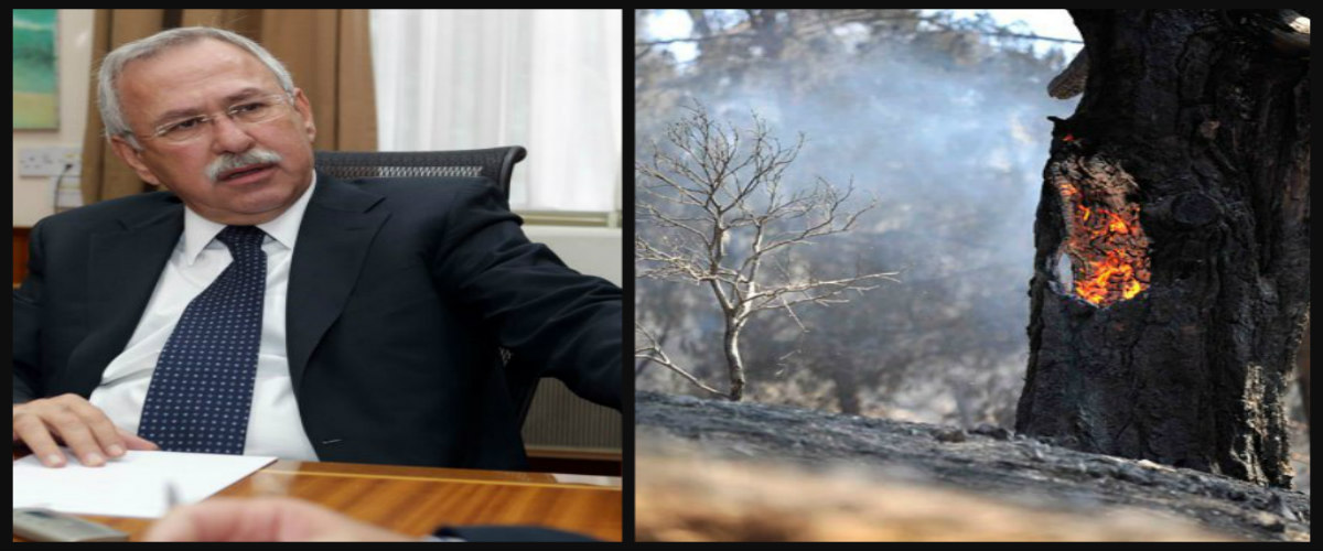 Σ. Χάσικος για πυρκαγιά Σολέας: Μην ψάχνετε την ευθύνη στους Υπουργούς
