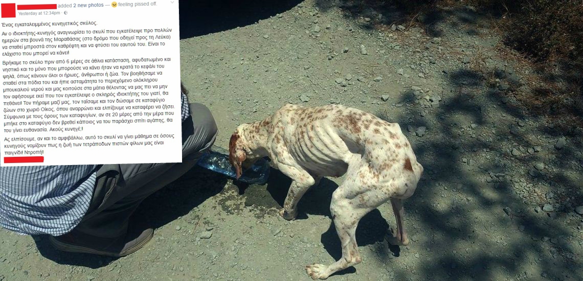 ΛΕΥΚΩΣΙΑ: Οργή προκαλεί η τραγική κατάσταση που βρέθηκε κυνηγετικός σκύλος – «Σε 20 μέρες θα του γίνει ευθανασία» - ΣΚΛΗΡΕΣ ΕΙΚΟΝΕΣ