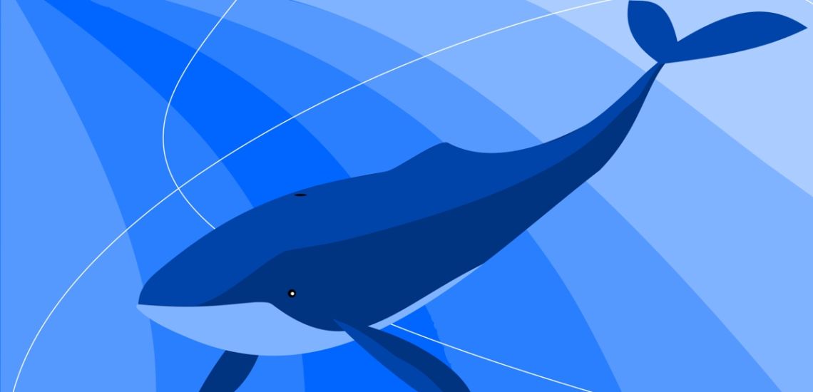 Αυξήθηκαν οι αναζητήσεις στο διαδίκτυο για την «Μπλε Φάλαινα» - Πρώτες η Λευκωσία και η Λεμεσός