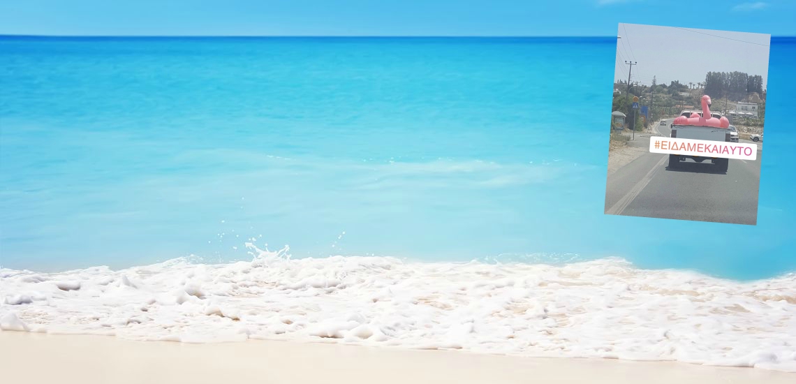 ΠΑΦΟΣ: Έβαλε το φλαμίνγκο στην καμπίνα και έφυγε για παραλία - Τα «φλαμίνγκο» κάνουν θραύση - ΦΩΤΟΓΡΑΦΙΑ