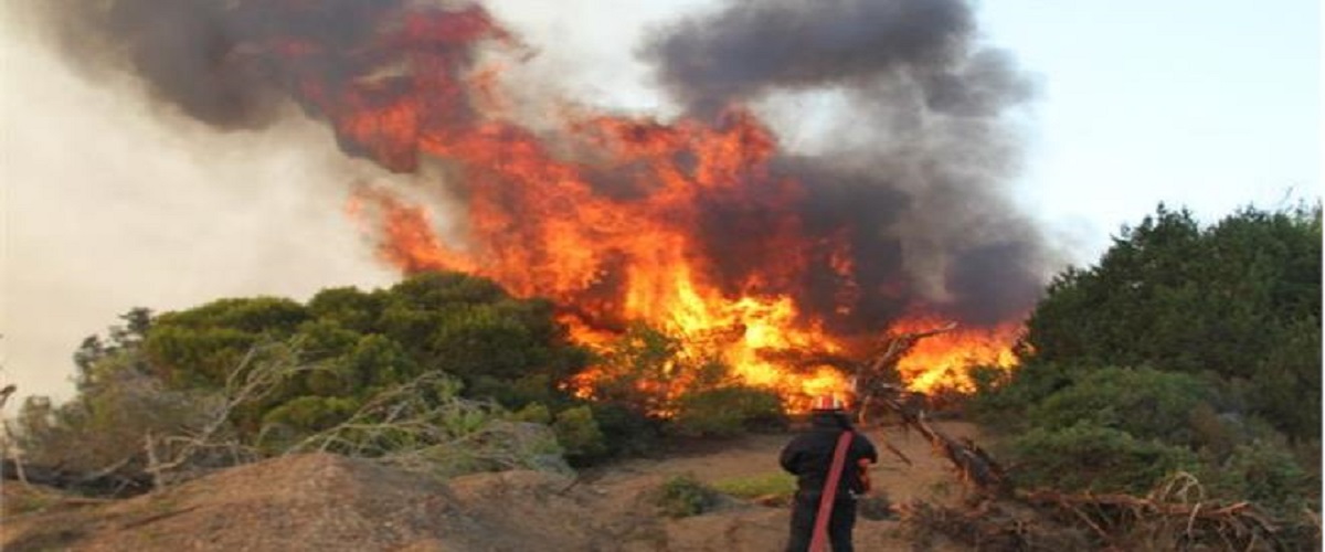 Μάχη με τις φλόγες σε Αιτωλοακαρνανία και Χαλκιδική
