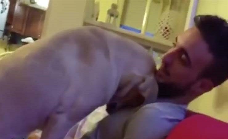 Στεναχωρημένος σκύλος ζητά συγνώμη από το αφεντικό του! Δείτε το βίντεο που έγινε viral