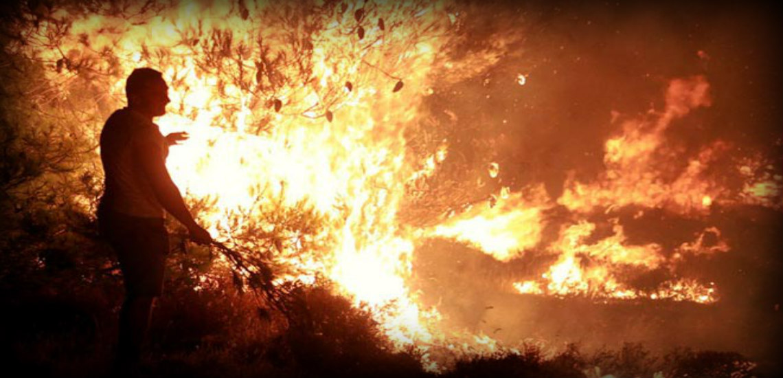 ΛΑΡΝΑΚΑ: Εμπρηστές βάλθηκαν να κάψουν όλο το Δάσος – «6-7 επεισόδια τις τελευταίες μέρες» - Τρέχει η Πυροσβεστική