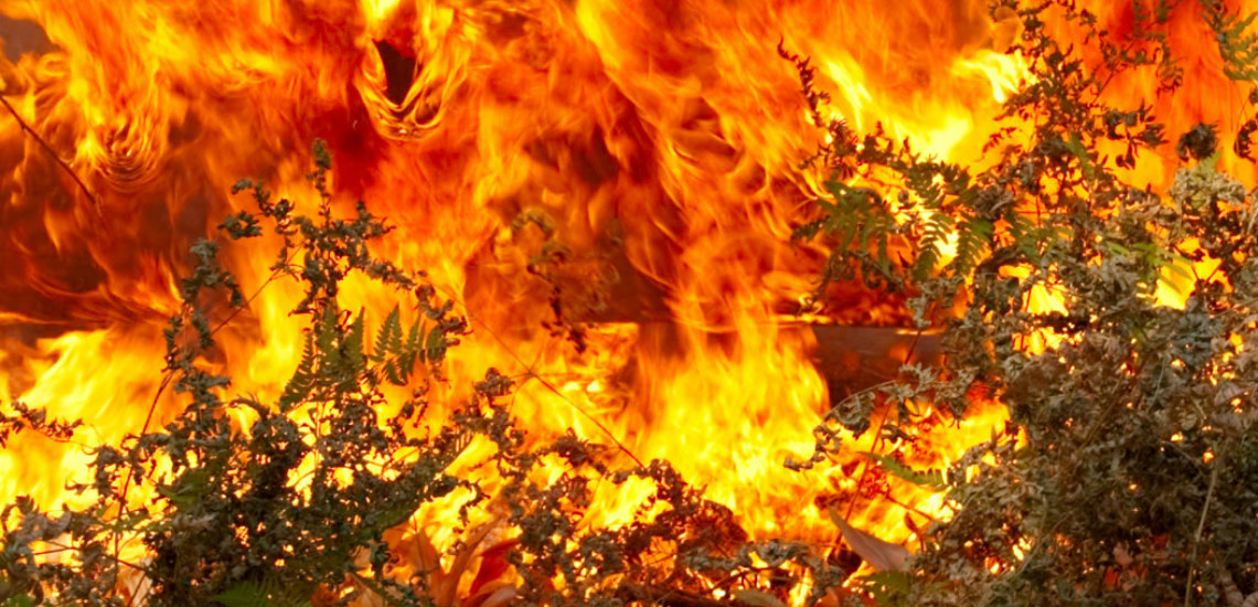 ΚΑΘΗΚΑΣ: Ξέσπασε πυρκαγιά σε χόρτα και άγρια βλάστηση