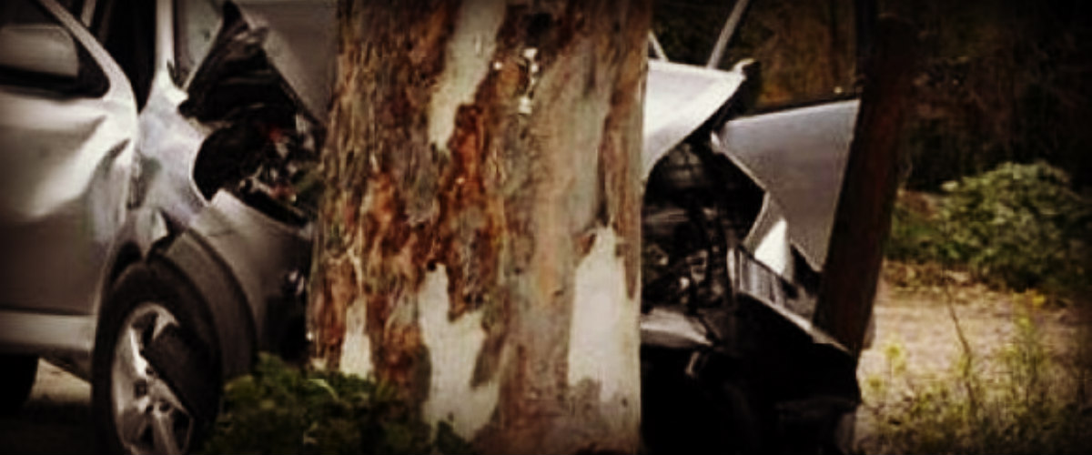 ΠΕΓΕΙΑ: Το αυτοκίνητο τους «καρφώθηκε» πάνω σε δέντρο – Το νοσοκομείο δυο πρόσωπα