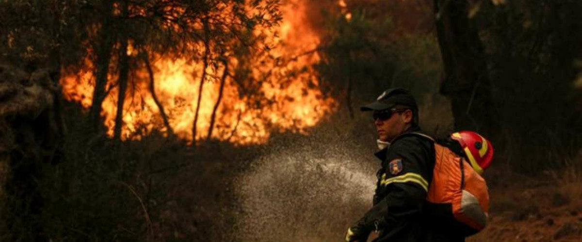 ΠΑΡΑΛΙΜΝΙ: Διακοπή ρεύματος λόγω μεγάλης πυρκαγιάς στην περιοχή