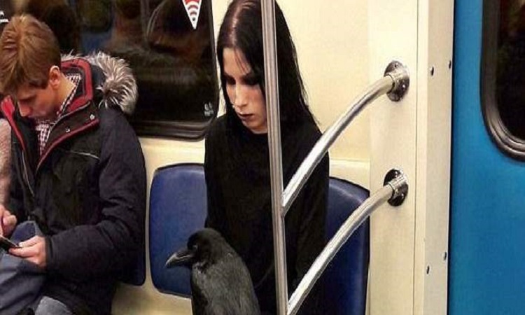 Έγινε viral: Γυναίκα μπαίνει στο μετρό μαζί με το κοράκι της -Καθόταν στο πόδι της, χωρίς κλουβί – ΦΩΤΟ
