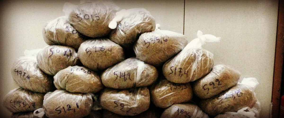ΛΕΜΕΣΟΣ: Πήγαν να κάνουν το deal για τα ναρκωτικά όμως πιάστηκαν στην φάκα – Τα χαρτόκουτα έκρυβαν 20 κιλά κάνναβης