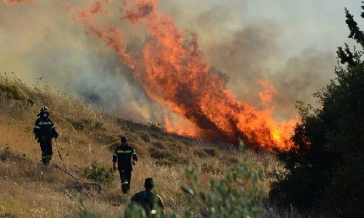 Απειλήθηκε το κρατικό δάσος «Κοκκινόμουττη» - Υπό πλήρη έλεγχο η δασική πυρκαγιά στον Λυθροδόντα