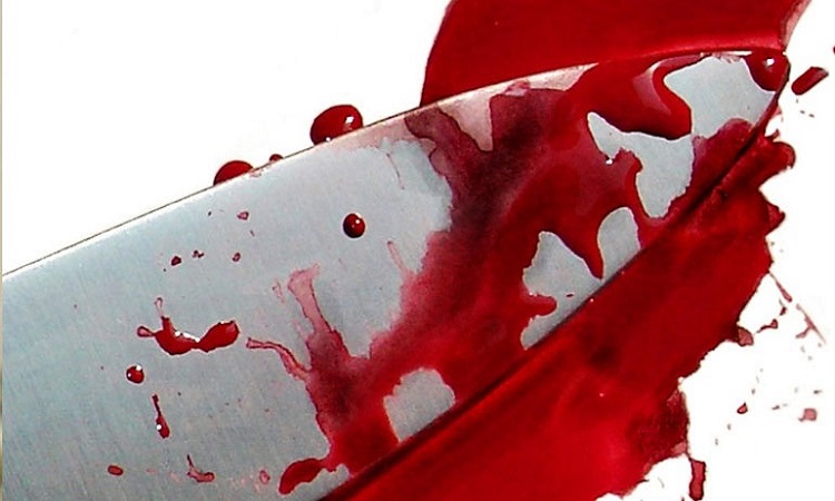 Οικογενειακή τραγωδία: 35χρονος σκότωσε τον αδερφό του και τραυμάτισε τους γονείς του με μαχαίρι στην Ελλάδα