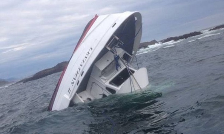 Πέντε νεκροί από βύθιση σκάφους παρατήρησης φαλαινών