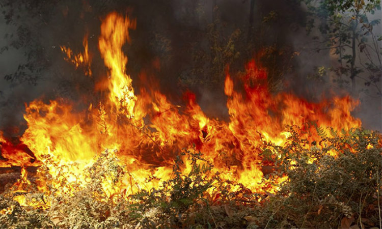 Ξέσπασε πυρκαγιά μεταξύ των κοινοτήτων Αναλιόντας- Καμπιά