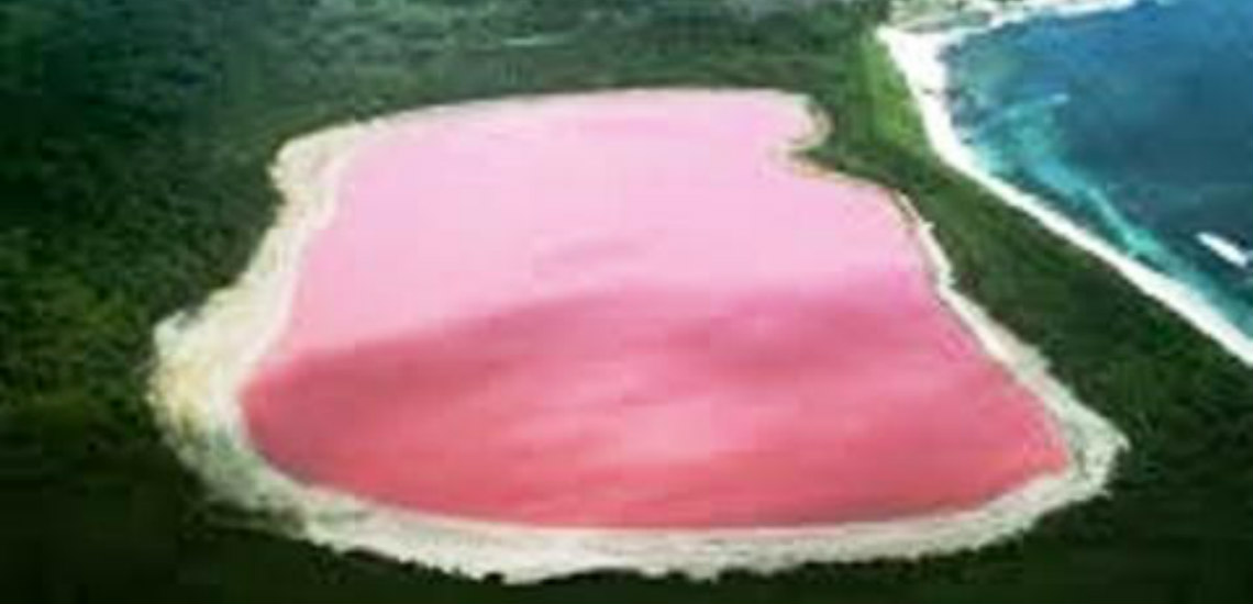 ΜxT: Η «ροζ λίμνη» - Το μοναδικό γεωλογικό φαινόμενο σε μια λίμνη τριών τετραγωνικών χιλιομέτρων, όπου δεν επιβιώνει κανένας οργανισμός ...