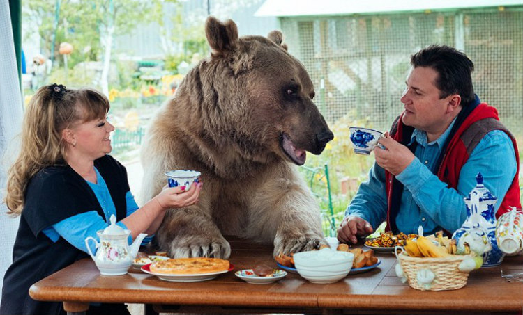 Ζευγάρι Ρώσων ζει εδώ και 23 χρόνια με μια αρκούδα