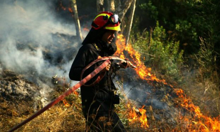 ΣΤΑΥΡΟΒΟΥΝΙ: Υπό έλεγχο δασική πυρκαγιά