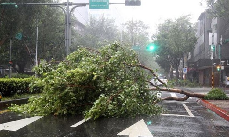 Ταϊβάν: Δύο νεκροί και εκατοντάδες τραυματίες από τον σούπερ τυφώνα Dujuan - (ΦΩΤΟ - ΒΙΝΤΕΟ)